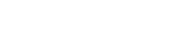 EXCALIBUR INTERNATIONAL logo, CSG