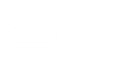 MSM GROUP